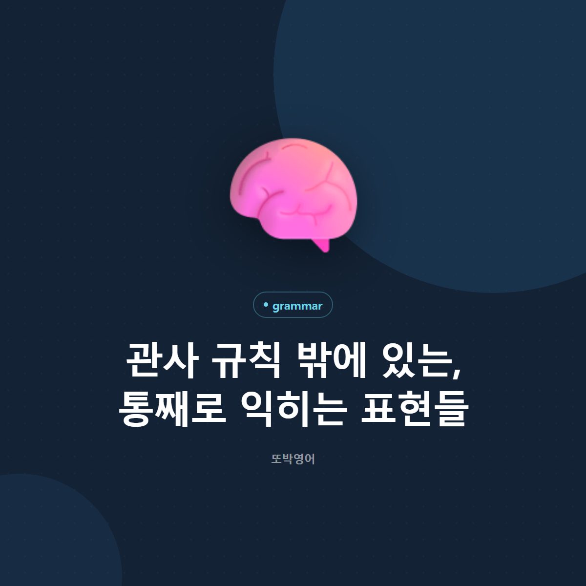 관사 규칙 밖에 있는, 통째로 익히는 표현들