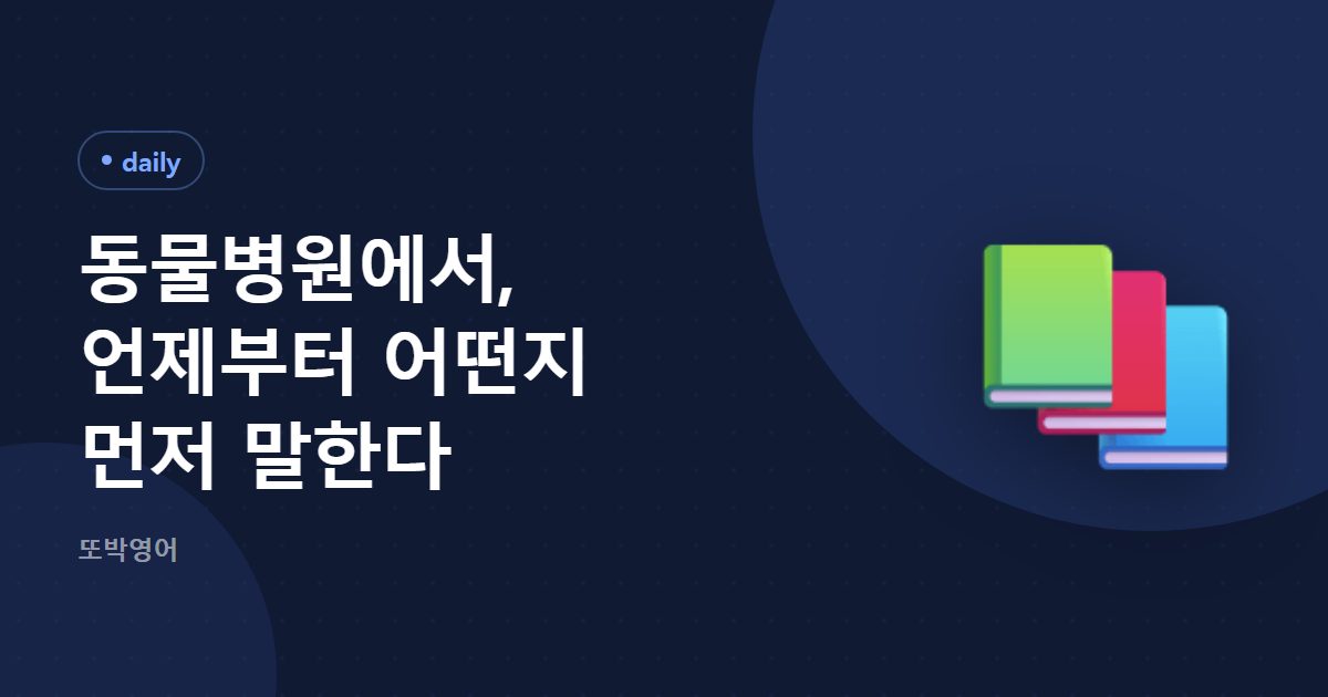 동물병원에서, 언제부터 어떤지 먼저 말한다