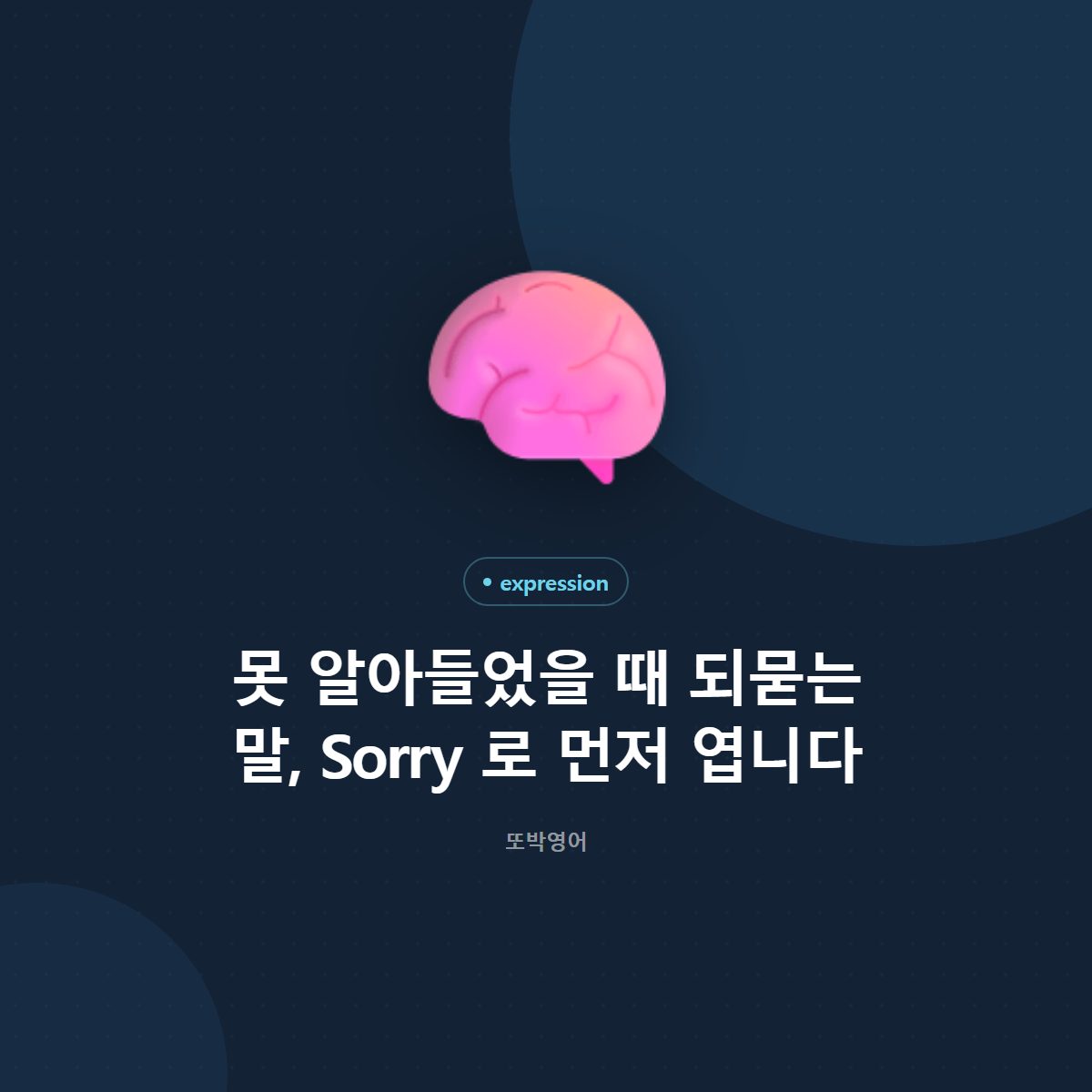 못 알아들었을 때 되묻는 말, Sorry 로 먼저 엽니다