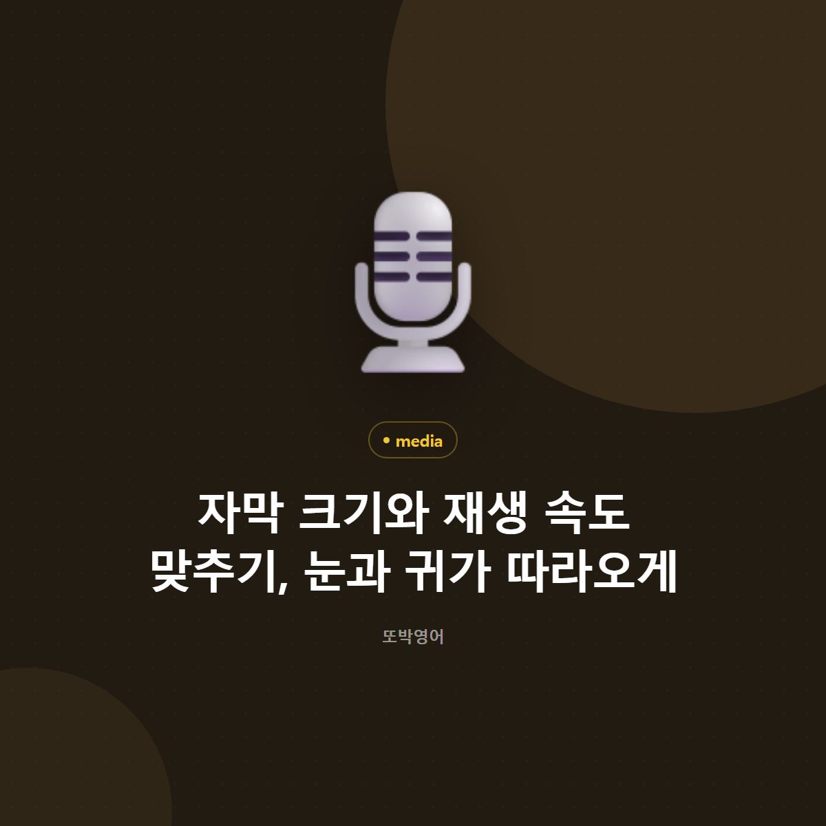 자막 크기와 재생 속도 맞추기, 눈과 귀가 따라오게