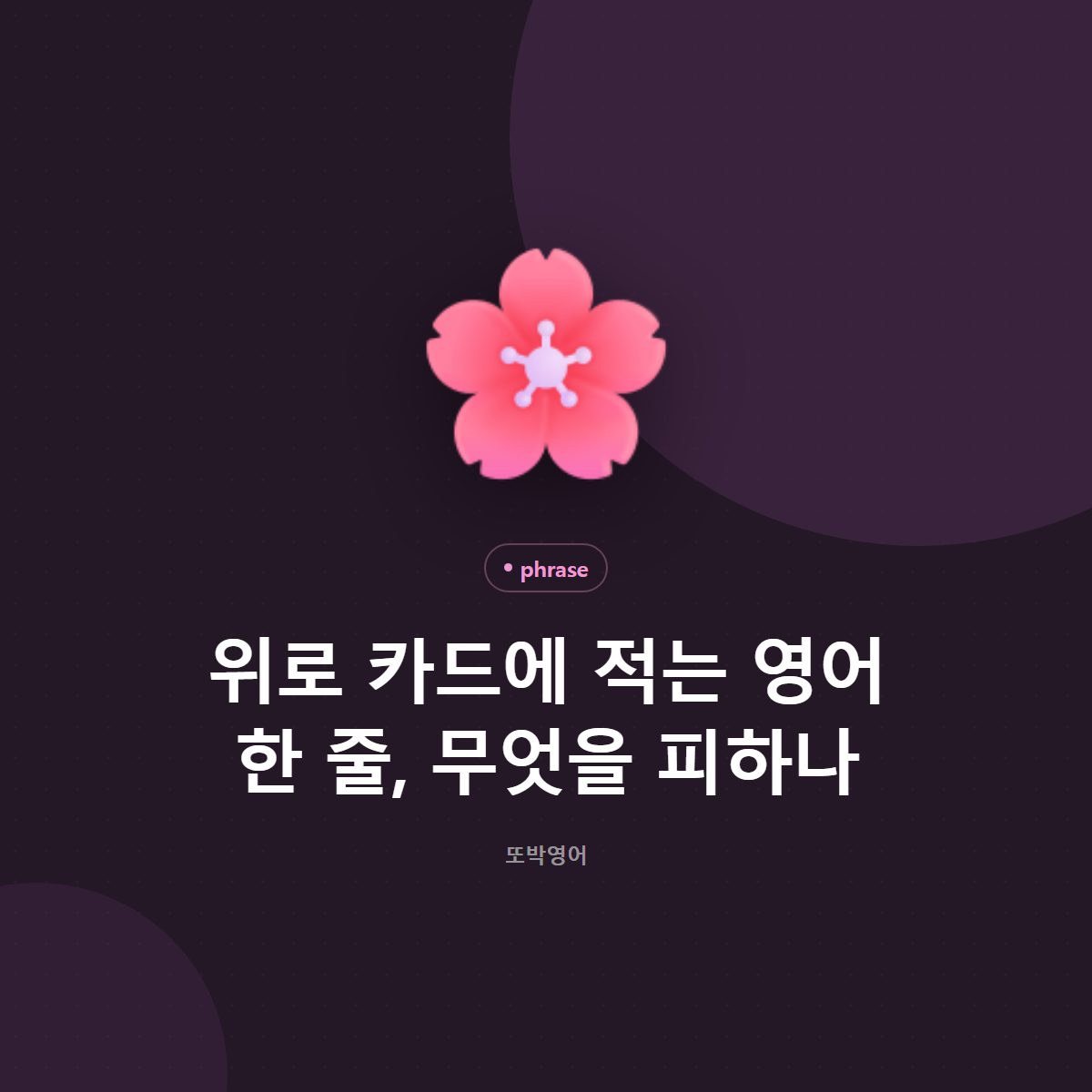위로 카드에 적는 영어 한 줄, 무엇을 피하나