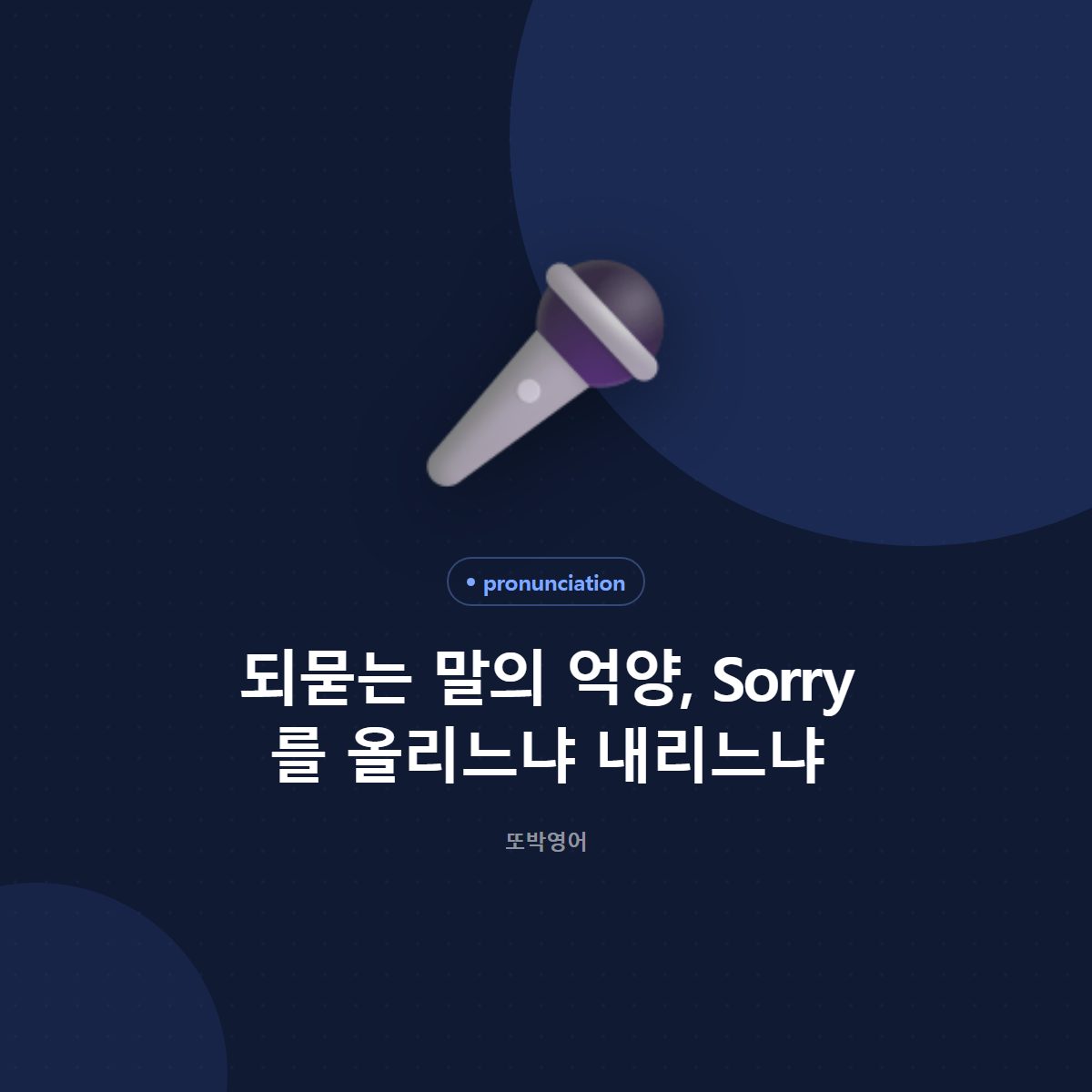 되묻는 말의 억양, Sorry 를 올리느냐 내리느냐