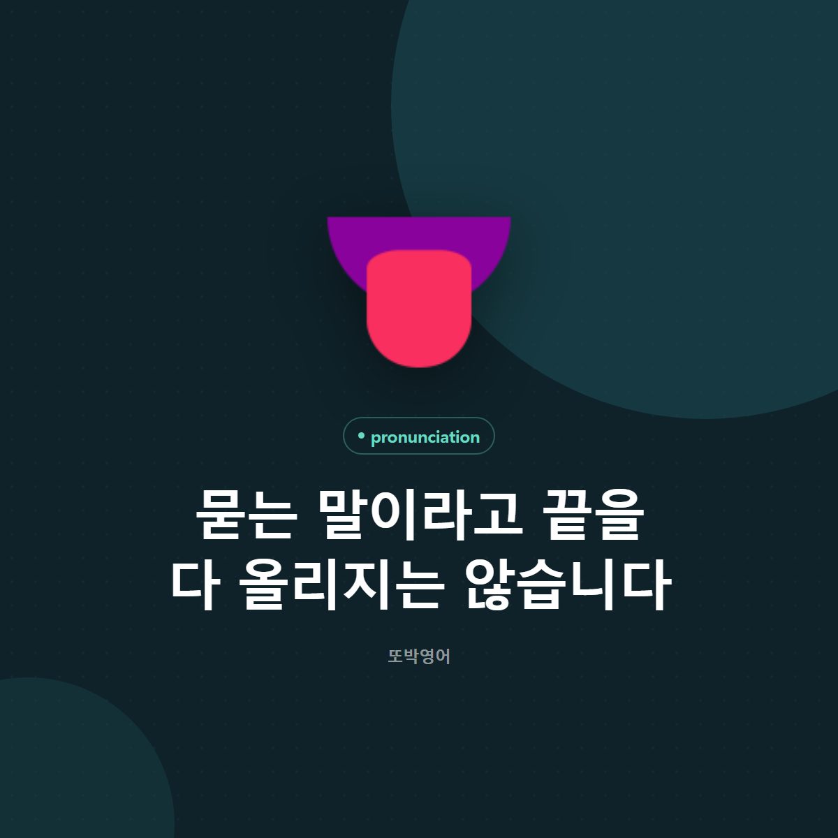 묻는 말이라고 끝을 다 올리지는 않습니다