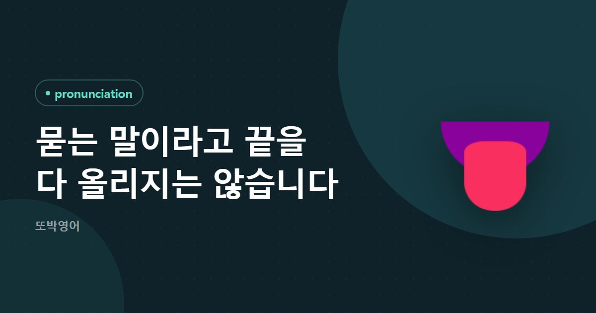 묻는 말이라고 끝을 다 올리지는 않습니다