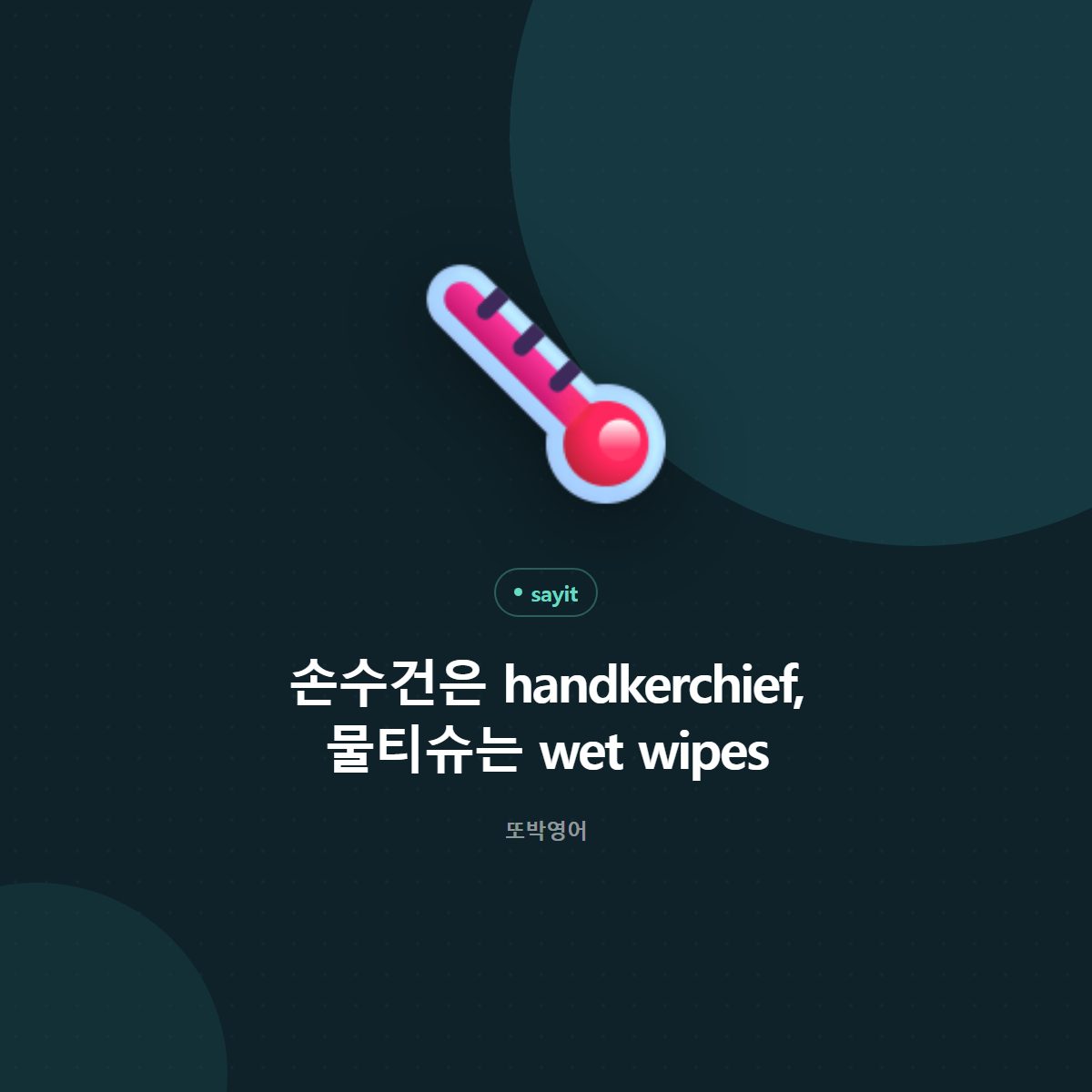 손수건은 handkerchief, 물티슈는 wet wipes