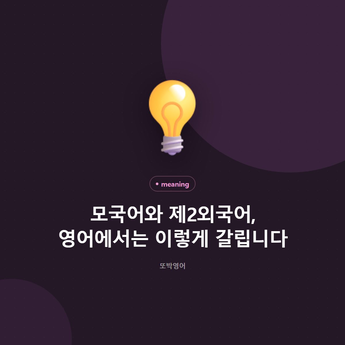 모국어와 제2외국어, 영어에서는 이렇게 갈립니다